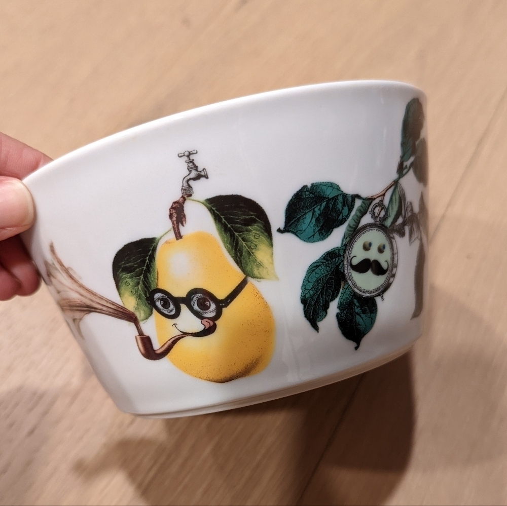White Bowl with Quirky Fruit Design